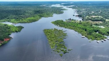 Amazon Nehri, Amazon Yağmur Ormanı. Dünyanın en büyük tropikal yağmur ormanları. Manaus Brezilya. Amazonia ekosistemi. Doğa, vahşi hayat manzarası. Küresel ısınma emisyonlarında azalma. Amazon nehri vahşi yaşamı.