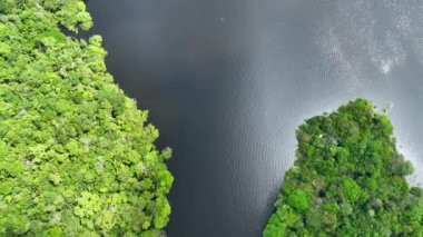 Amazon Ormanı 'ndaki Amazon Nehri. Dünyanın ünlü tropikal ormanları. Manaus Brezilya. Amazon ekosistemi. Doğa, vahşi hayat manzarası. Solimoes Amazon Nehri biyolojisi. Amazon yaşam tarzı.