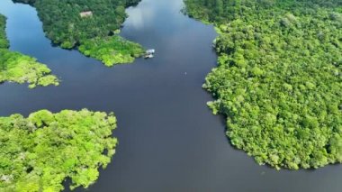 Amazon Ormanı 'nda Amazon Nehri' nin yüzen restoranları. Manaus Brezilya. Doğa, vahşi hayat manzarası. Yeşil arka plan. Amazonas eyaletindeki orman ağaçları. Turizm cazibesi. Seyahat hedefi.