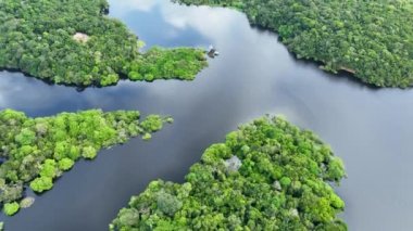 Amazon Ormanı 'nda Amazon Nehri' nin yüzen restoranları. Manaus Brezilya. Doğa, vahşi hayat manzarası. Yeşil arka plan. Amazonas eyaletindeki orman ağaçları. Turizm cazibesi. Seyahat hedefi.