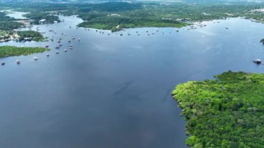 Manaus Brezilya. Amazon Ormanı 'ndaki Taruma Nehri Amazon Biomu' ndaki dev Kara Nehir 'in zenginliği. Doğal yaban hayatı manzarası. Küresel ısınma orman tahribatı. Amazon yağmur ormanları vahşi yaşam.