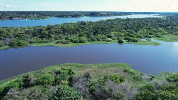 Amazonka Amazonii Słynny Tropikalny Las Świata Manaus Brazylia Amazoński Ekosystem — Wideo stockowe