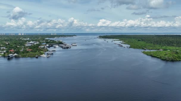 Természet Légi Felvétel Amazon Erdő Amazonas Brazília Mangrove Erdő Mangrove — Stock videók