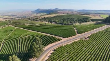 Manzaralı kırsal alan yeşil tarım alanı. Tarım sektörü kırsal manzarası. Çiftlik arazisi. Tarım işi. Tarım endüstrisi. Açık tarım alanı. Tarım işi. Tarım endüstrisi manzarası.