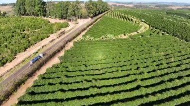 Mato Grosso 'daki kırsal yolda kargo kamyonu. Kırsal alan. Kargo kamyonu yeşil arka plan. Yeşil Dağ Vadisi 'ndeki kırsal alan. Çiftçilik manzarası. Tarım tarlası çiftliği.
