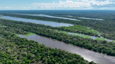 Amazon Nehri 'nin Amazon Ormanı' ndaki geniş manzarasını 5K çözünürlüğüyle tarıyorum. Brezilya Amazon Ormanı 'nda. Manaus Amazonas. Manaus Brezilya. Şehrin turizm simgesi. Amazon Bölgesi.