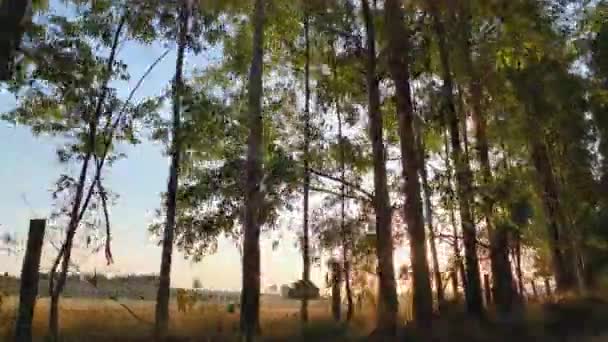 Céu Pôr Sol Paisagem Rural Terras Agrícolas Campo Ambiente Rural — Vídeo de Stock