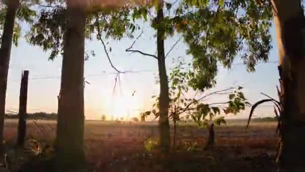 Cielo Del Atardecer Paisaje Rural Paisaje Terreno Agrícola Campo Ambiente — Vídeos de Stock