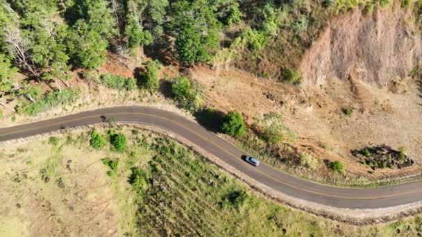 Estrada Rural Deserta Paisagem Rural Aérea Fundo Verde Paisagem Rural — Vídeo de Stock