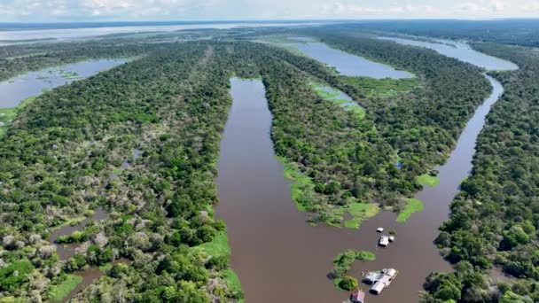 5K解像度でアマゾン森林でアマゾン川の広い風景を計画 ブラジルのアマゾンジャングル マナウス アマゾナス マナウス ブラジル 都市の観光のランドマーク アマゾン地域 — ストック動画