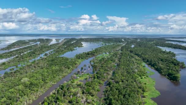 Pannning Breed Landschap Van Amazon River Bij Amazon Forest Resolutie — Stockvideo
