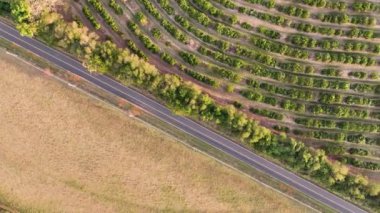 Kırsal yaşam manzarası. Tarım alanı ortamı. Çiftlik arazisi kırsal alan. Çiftçilik manzarası. Kırsal yaşamda hasat zamanı. Çiftlik arazisi kırsal arazi manzaralı hava manzarası.