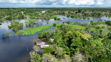 Amazon Ormanı 'ndaki Amazon Nehri. Dünyanın ünlü tropikal ormanları. Manaus Brezilya. Amazon ekosistemi. Doğa, vahşi hayat manzarası. Solimoes Amazon Nehri biyolojisi. Amazon yaşam tarzı.