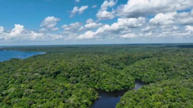 Amazon ormanlarının Amazon Brezilya 'daki doğa manzarası. Mangrove Ormanı. Mangrove ağaçları. Amazon yağmur ormanları doğa manzarası. Amazon igapo su altındaki bitki örtüsü. Amazonas Brezilya 'daki su baskını ormanı.