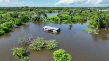 Amazon Nehri, Amazon Yağmur Ormanı. Dünyanın en büyük tropikal yağmur ormanları. Manaus Brezilya. Amazonia ekosistemi. Doğa, vahşi hayat manzarası. Küresel ısınma emisyonlarında azalma. Amazon nehri vahşi yaşamı.