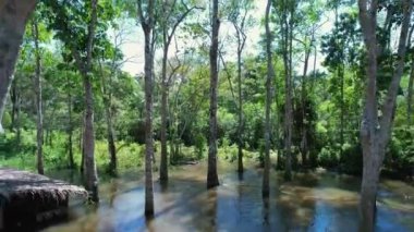 Amazon Ormanı 'nda Amazon Nehri' nin yüzen restoranları. Manaus Brezilya. Doğa, vahşi hayat manzarası. Yeşil arka plan. Amazonas eyaletindeki orman ağaçları. Turizm cazibesi. Seyahat hedefi.