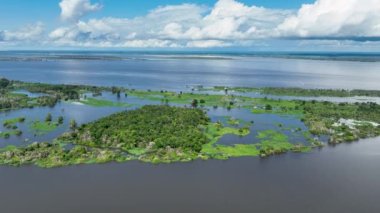 Amazon Ormanı 'ndaki Amazon Nehri. Dünyanın ünlü tropikal ormanları. Manaus Brezilya. Amazon ekosistemi. Doğa, vahşi hayat manzarası. Solimoes Amazon Nehri biyolojisi. Amazon yaşam tarzı.