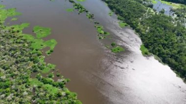 Amazon Ormanı 'nda Amazon Nehri' nin yüzen restoranları. Manaus Brezilya. Doğa, vahşi hayat manzarası. Yeşil arka plan. Amazonas eyaletindeki orman ağaçları. Turizm cazibesi. Seyahat hedefi.