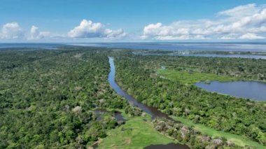 Amazon Ormanı 'ndaki Amazon Nehri. Dünyanın ünlü tropikal ormanları. Manaus Brezilya. Amazon ekosistemi. Doğa, vahşi hayat manzarası. Solimoes Amazon Nehri biyolojisi. Amazon yaşam tarzı.