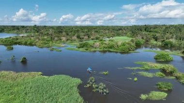Amazon Nehri 'nden Amazon Ormanı' na giden tekne Brezilya 'nın Amazonas eyaletinde. Mangrove Ormanı. Mangrove ağaçları. Brezilya Amazon yağmur ormanları tabiatı. Amazon igapo su altındaki bitki örtüsü.