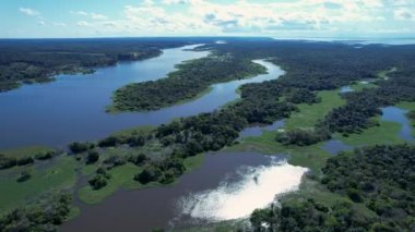 Amazon Ormanı 'ndaki Amazon Nehri. Dünyanın ünlü tropikal ormanları. Manaus Brezilya. Amazon ekosistemi. Doğa, vahşi hayat manzarası. Solimoes Amazon Nehri biyolojisi. Amazon yaşam tarzı.