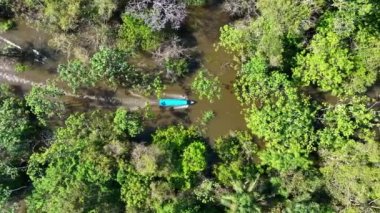 Amazon Nehri 'nden Amazon Ormanı' na giden tekne Brezilya 'nın Amazonas eyaletinde. Mangrove Ormanı. Mangrove ağaçları. Brezilya Amazon yağmur ormanları tabiatı. Amazon igapo su altındaki bitki örtüsü.