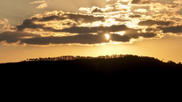 Ηλιοβασίλεμα Στο Τοπίο Της Υπαίθρου Αγροτικό Τοπίο Ευκάλυπτοι Ηλιακό Φως — Αρχείο Βίντεο