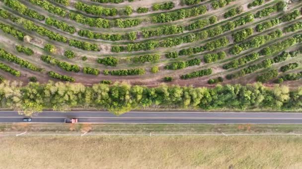 Ferme Campagne Rustique Paysage Aérien Pittoresque Paysages Ruraux Agriculture Domaine — Video