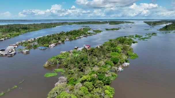 Famous Meeting Waters Tourism Landmark Manaus Brazil Brown Amazon River — Stock Video