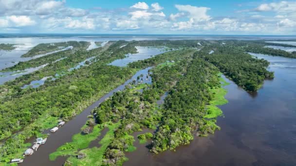 Amazon Folyó Amazonas Esőerdőnél Világ Legnagyobb Trópusi Esőerdeje Manaus Brazília — Stock videók