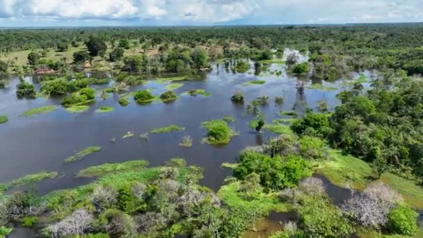 Restaurants Flottants Fleuve Amazone Forêt Amazonienne Manaus Brésil Nature Sauvage — Video