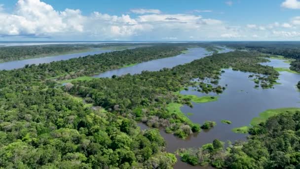 Manaus Brazil Řeka Taruma Amazonském Lese Záplava Obří Černé Řeky — Stock video
