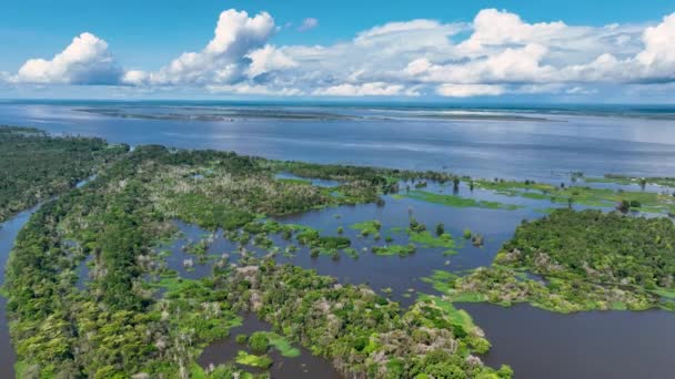 Restaurantes Flutuantes Rio Amazonas Floresta Amazônica Manaus Brasil Natureza Paisagem — Vídeo de Stock