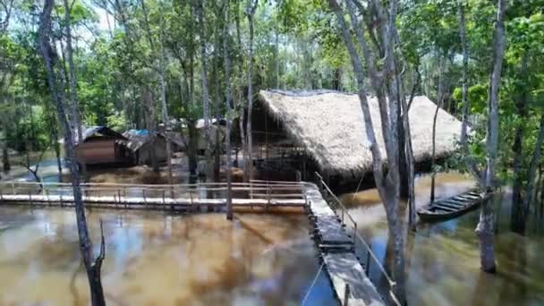 Ursprunglig Inhemsk Amazon Forest Amazonas Brasilien Djungel Livsstil Aboriginal Indian — Stockvideo