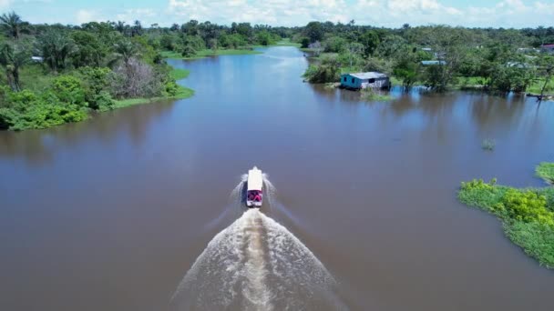 在亚马孙州亚马逊森林的亚马逊河上航行的船 红树林 红树林树 巴西亚马逊雨林自然景观 亚马逊地衣淹没植被 — 图库视频影像
