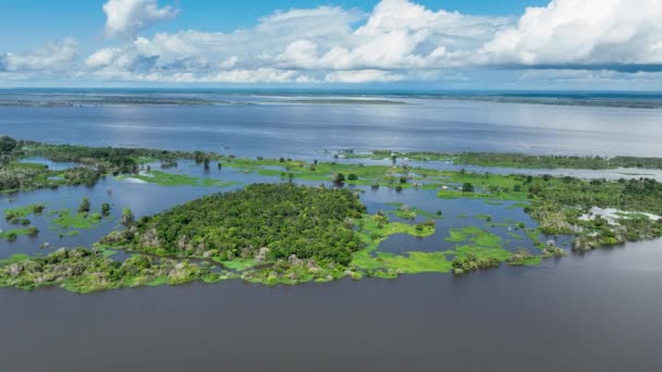 Amazon Folyó Amazonas Erdőnél Világ Híres Trópusi Erdeje Manaus Brazília — Stock videók