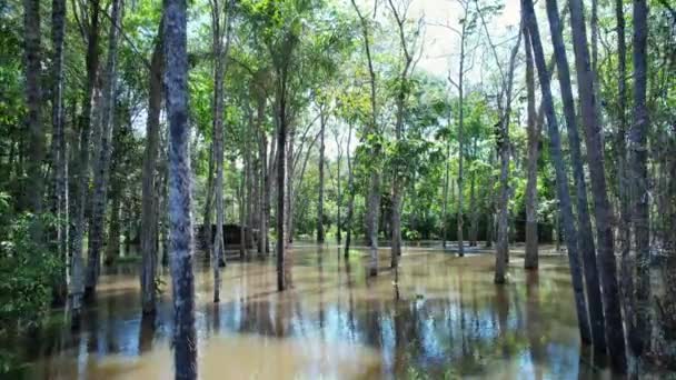 Restaurantes Flotantes Del Río Amazonas Selva Amazónica Manaus Brasil Naturaleza — Vídeos de Stock