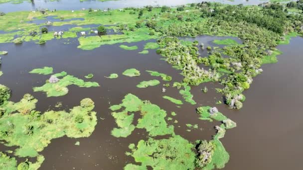 Río Amazonas Selva Amazónica Selva Tropical Más Grande Del Mundo — Vídeo de stock
