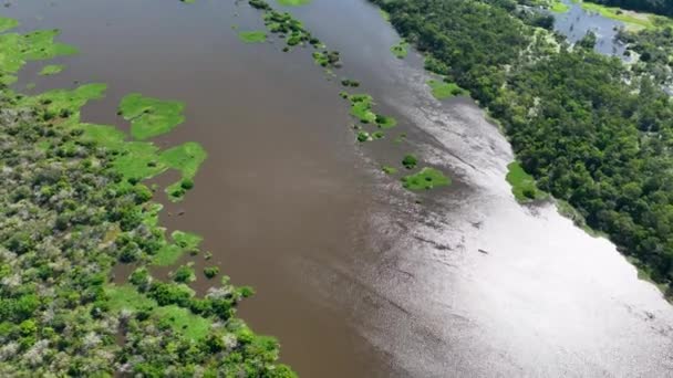 Restaurantes Flotantes Del Río Amazonas Selva Amazónica Manaus Brasil Naturaleza — Vídeos de Stock