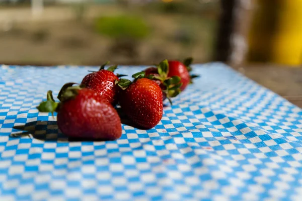 Fragole fresche su una tovaglia a scacchi con sfondo sfocato — Foto Stock