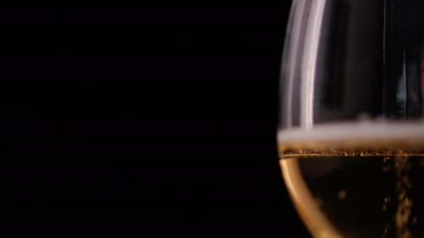 Close-up of bubbly beer in glass goblet with black background — Stok Video