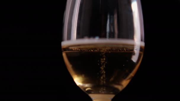 Cerveja borbulhante em uma taça de vidro com fundo preto — Vídeo de Stock