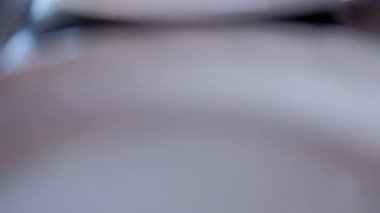 Beyaz peynir dilimleri, marul, sucuk ve Meksika molcajete 'sinde kavrulmuş nopaleler.