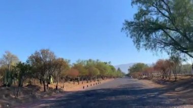 Çakıltaşı yolu kuru bitki örtüsüyle çevrili ve mavi gökyüzünün altında