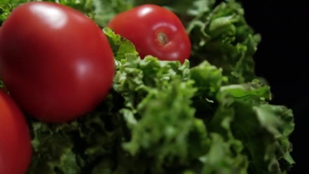 Fresh onion and tomatoes on top of big lettuce with black background — Stock Video