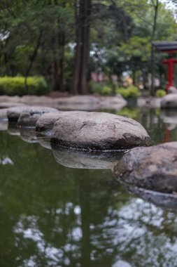 Arka planda bulanık ağaçlar ve Japon kapısı olan gölette taşların yolu