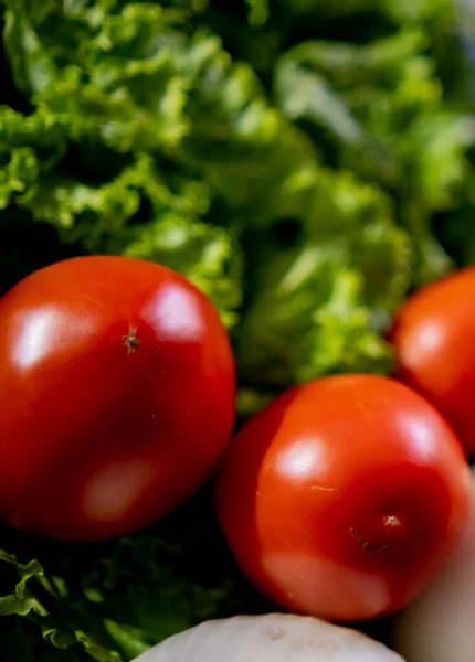 Verse tomaten en uien boven grote Batavia sla — Stockfoto