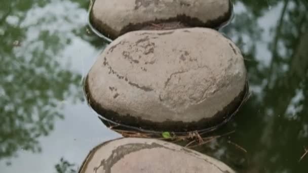 Stones path on pond with reflective green water — Stock Video