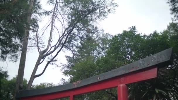 传统的日本城门和木乃伊公园的树木 — 图库视频影像