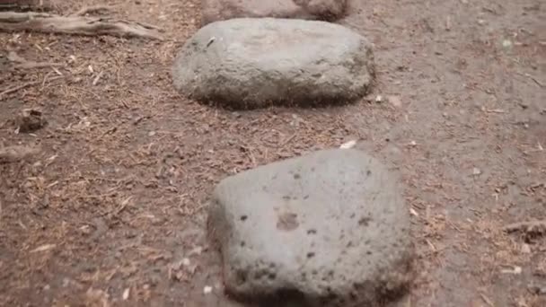 Peaceful view of stepping stones path on dirt ground — Stock Video